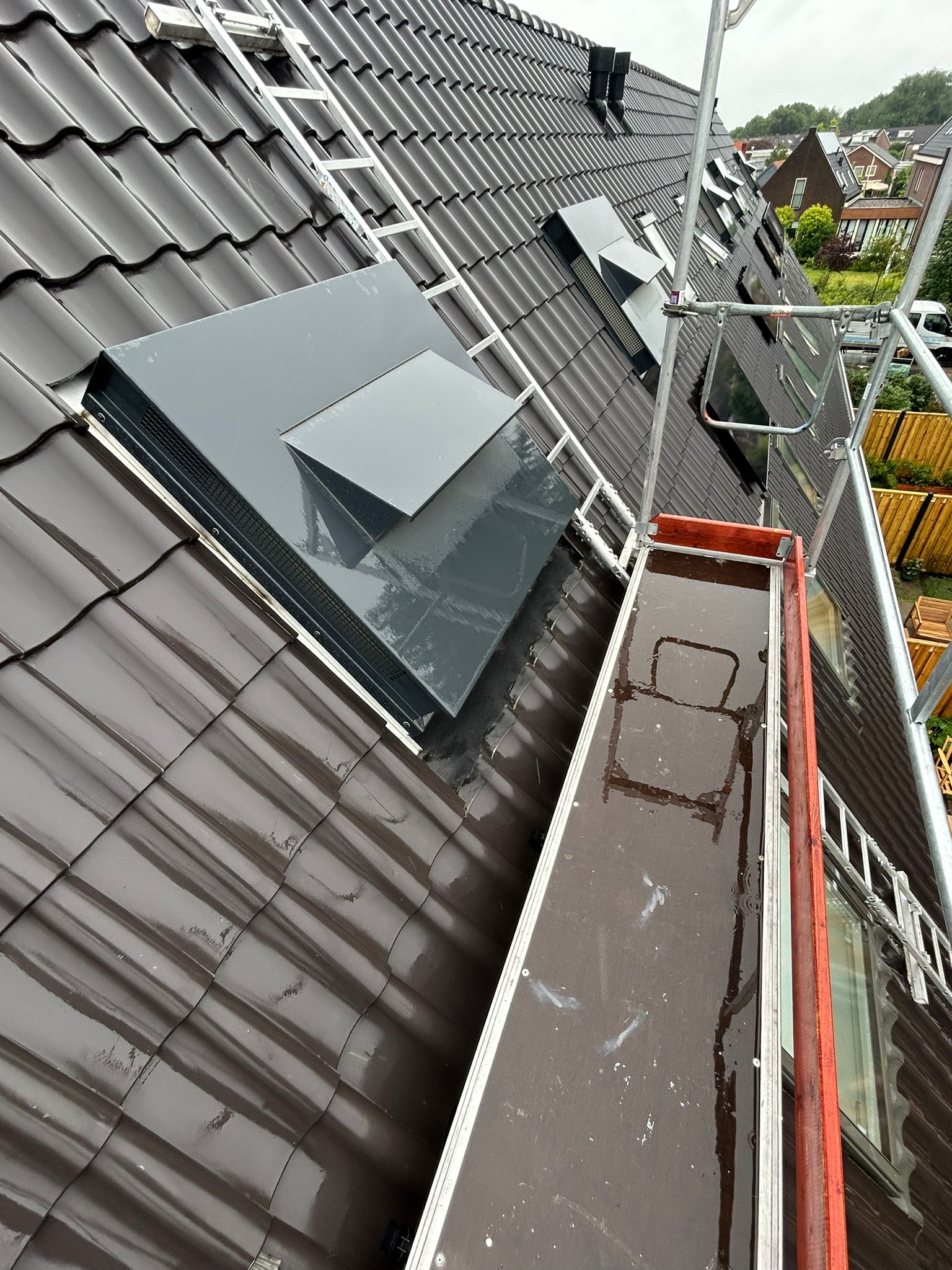 Steigerproject Achterveld